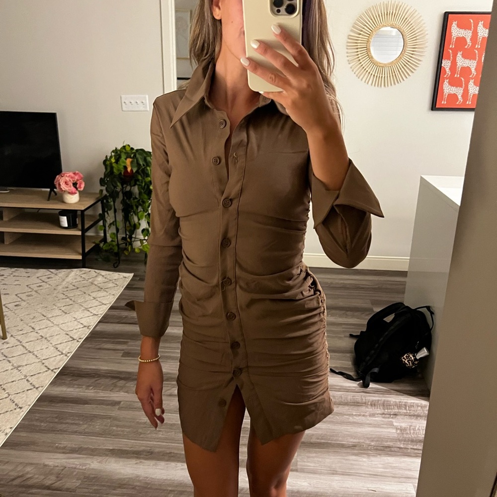 Brown Zara Dress